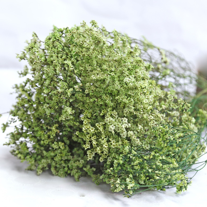 Plant Parent Gifts - Natürliche Frische Getrocknete Konservierte Blumen Kristall