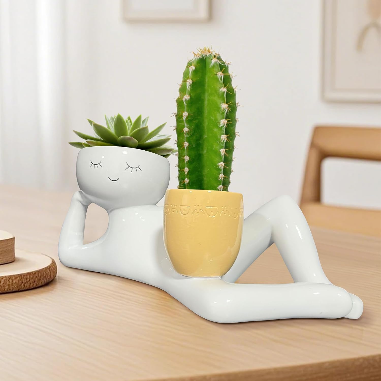 Lustiger Pflanzentopf „Lazy Li – Plant Parents Bewertung und Preis