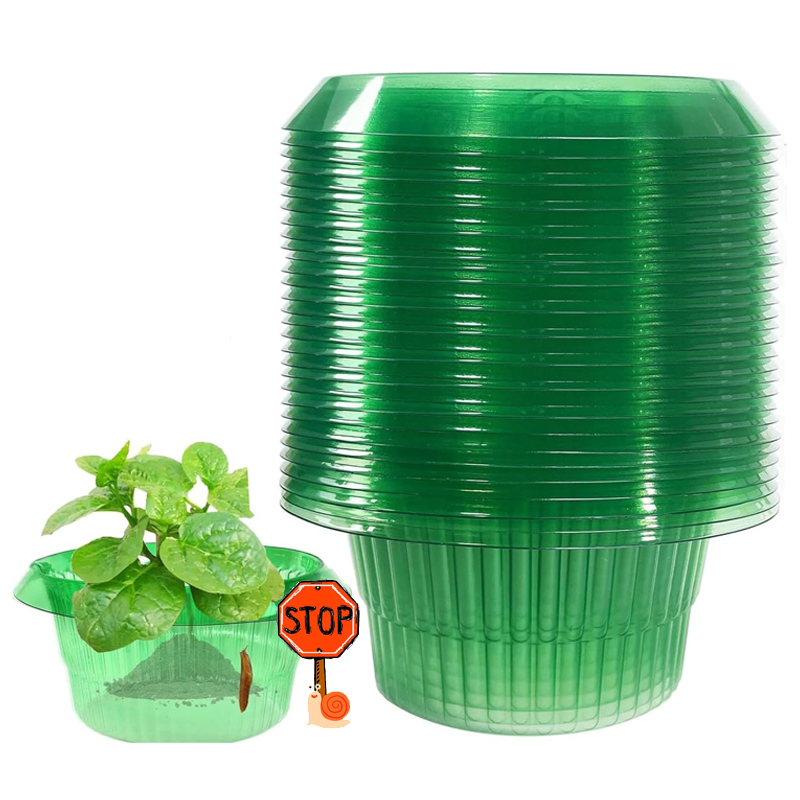 5-25Pcs Pflanzen Slug Schutz R – Plant Parents Bewertung und Preis