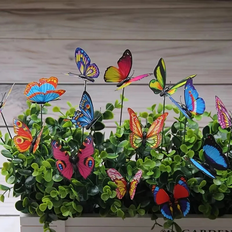5-30 Stück Schmetterlinge für  – Plant Parents Bewertung und Preis