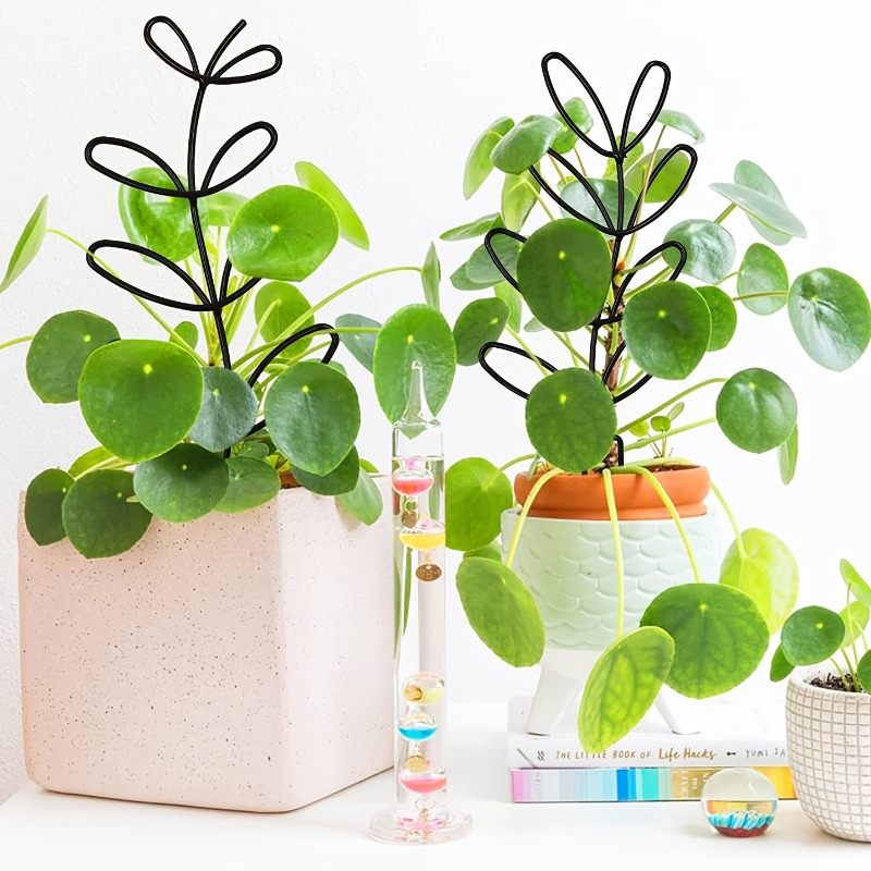 3-teiliger Pflanzenstützrahmen – Plant Parents Bewertung und Preis