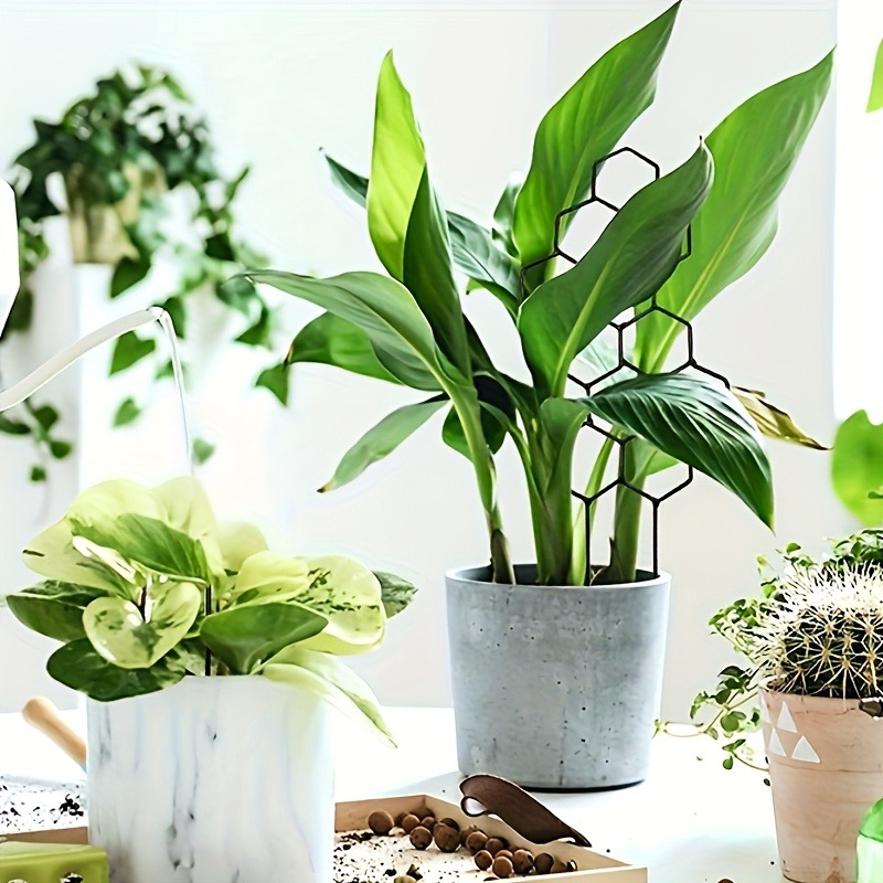 3-teiliger Pflanzenstützrahmen – Plant Parents Bewertung und Preis