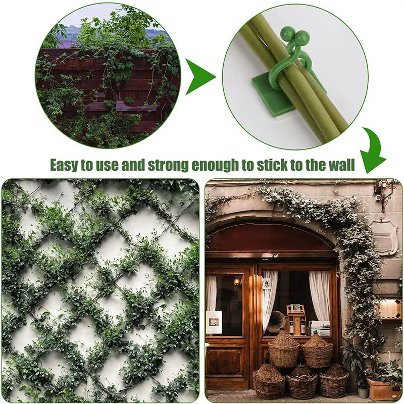1/30/50 Stück für Gartenzubehö – Plant Parents Bewertung und Preis