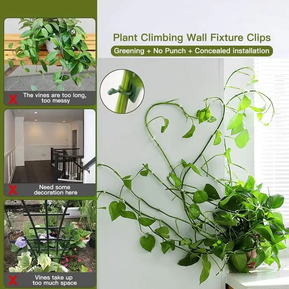 1/30/50 Stück für Gartenzubehö – Plant Parents Bewertung und Preis