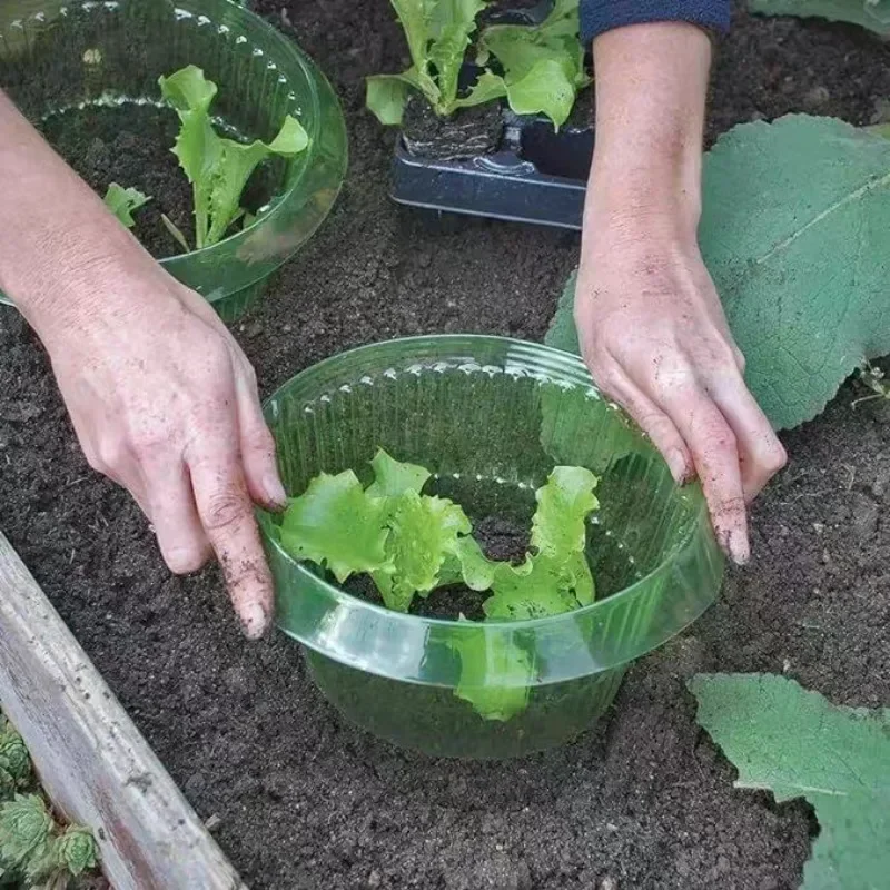 Pflanzen Slug Schutz Ringe Gem – Plant Parents Bewertung und Preis